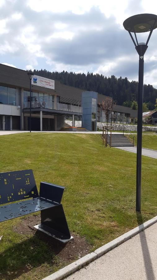 Studio Cocooning Cledicihome Parking Prive Centre Ville Gérardmer Εξωτερικό φωτογραφία